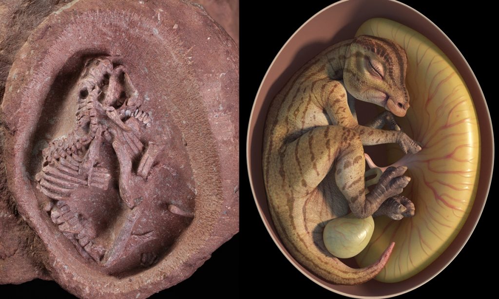 Avro Dinosavrou