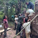 Anakalipsi Amazonio
