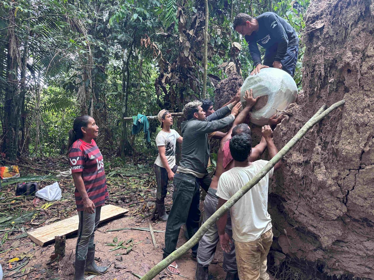 Anakalipsi Amazonio