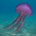 Mov Medusa