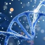 Texnito Dna