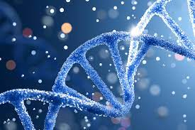 Texnito Dna