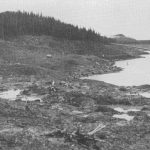 Lituya Forest