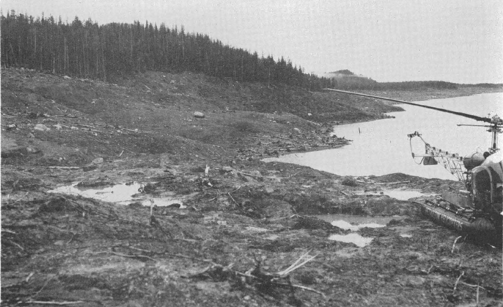 Lituya Forest
